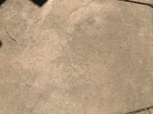 946B6899-E7E3-4D48-8E48-B33C5AFF4D58.jpeg