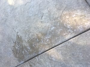 D57E5136-13AE-41F9-B3C2-01ABAEB4F6F7.jpeg