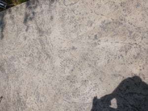 IMG_20180510_112332814.jpg