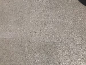 5225B640-1BB3-48C4-9D73-846C81F14721.jpeg