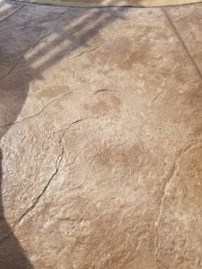 20190311_152424_resized.jpg