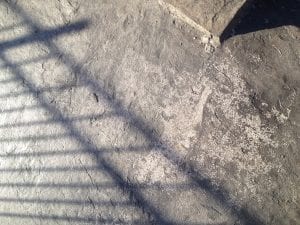 IMG_1519.JPG