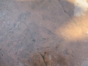IMG_0677.JPG