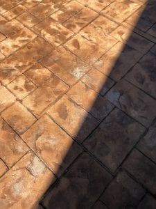 IMG_8539.jpg