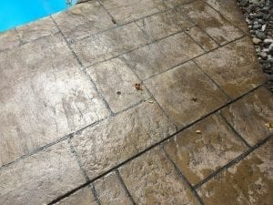 IMG_0039.JPG