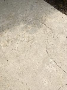 IMG_0674.jpeg