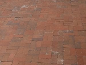 IMG_4368.jpg