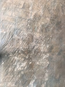 8838B1AC-E0D2-4E05-A427-1C9EE136EFEE.jpeg