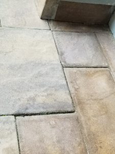 20230611_073136.jpg