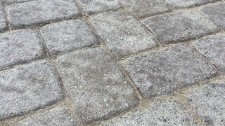 Brick Pavers Turned White